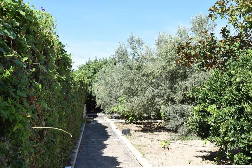 Casa Rural " La Bruja " 塞古比 外观 照片