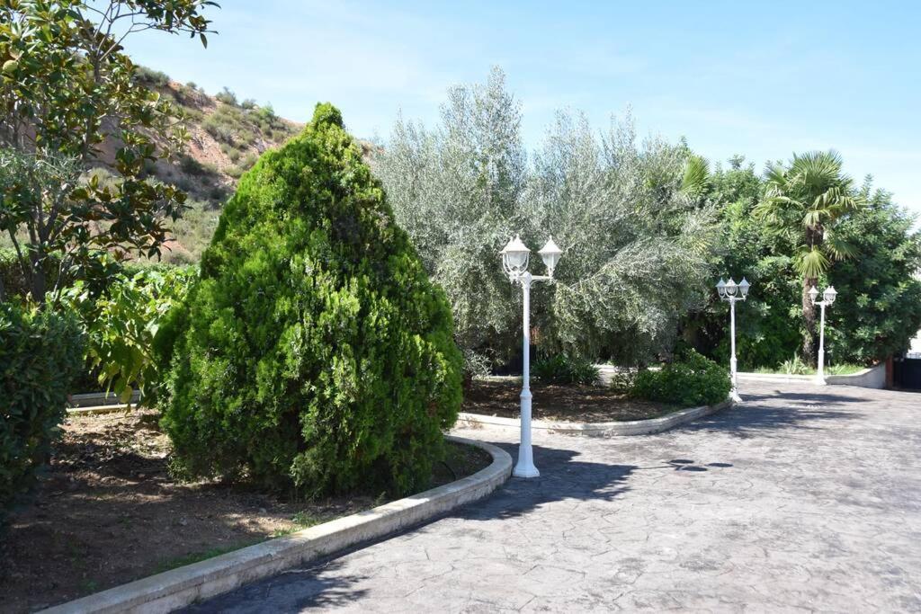 Casa Rural " La Bruja " 塞古比 外观 照片